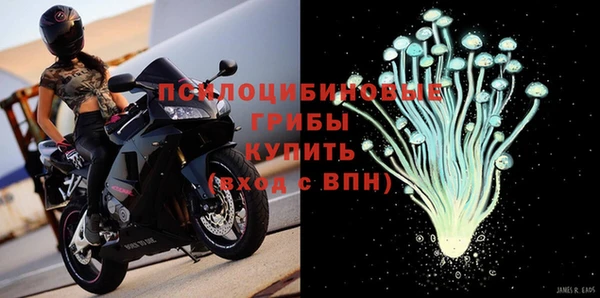 spice Алзамай